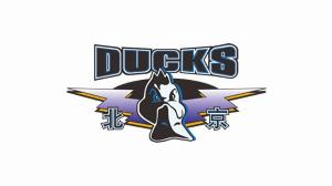 乐鱼体育官方网站-不涨价！北京季后赛8进4门票明日开售 价格与常规赛重点场次一致